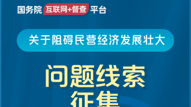 黄色网址日逼456国务院“互联网+督查”平台公开征集阻碍民营经济发展壮大问题线索